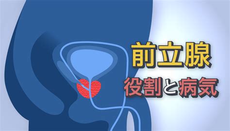 乳首 前立腺|「乳首、前立腺の違和感」に関する医師の回答